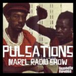 Pulsations 2025-12-10