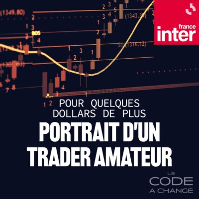 Pour quelques dollars de plus : portrait d’un trader amateur 3/3 : Le crash