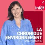 Sommet de l’océan : le Traité sur la haute mer « rentrera en vigueur au plus tard au 1er janvier 2026 »