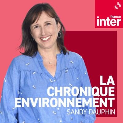 Sommet de l’océan : le Traité sur la haute mer « rentrera en vigueur au plus tard au 1er janvier 2026 »