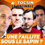 La Matinale Tocsin du 28/11/25 Bienvenue dans le Goulag numérique ! Scandale sur les croquettes pour chiens !