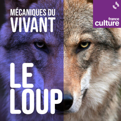 Mécaniques du vivant, saison 1 : Le Loup