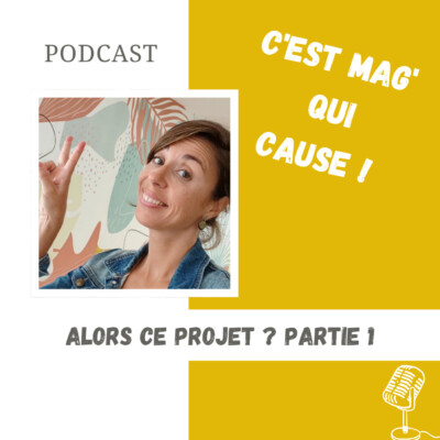 38/ Nouveau projet ! je t’explique tout !! partie 1