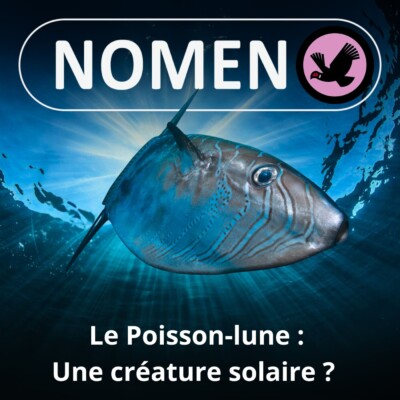 S05E23 Le Poisson-lune : Une créature solaire ?
